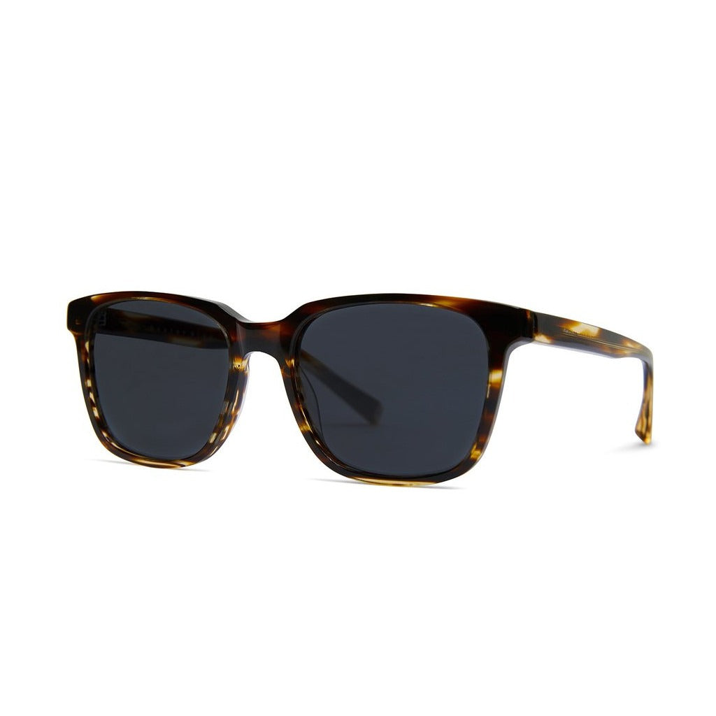 Baxter Blue Sunglasses Carter
