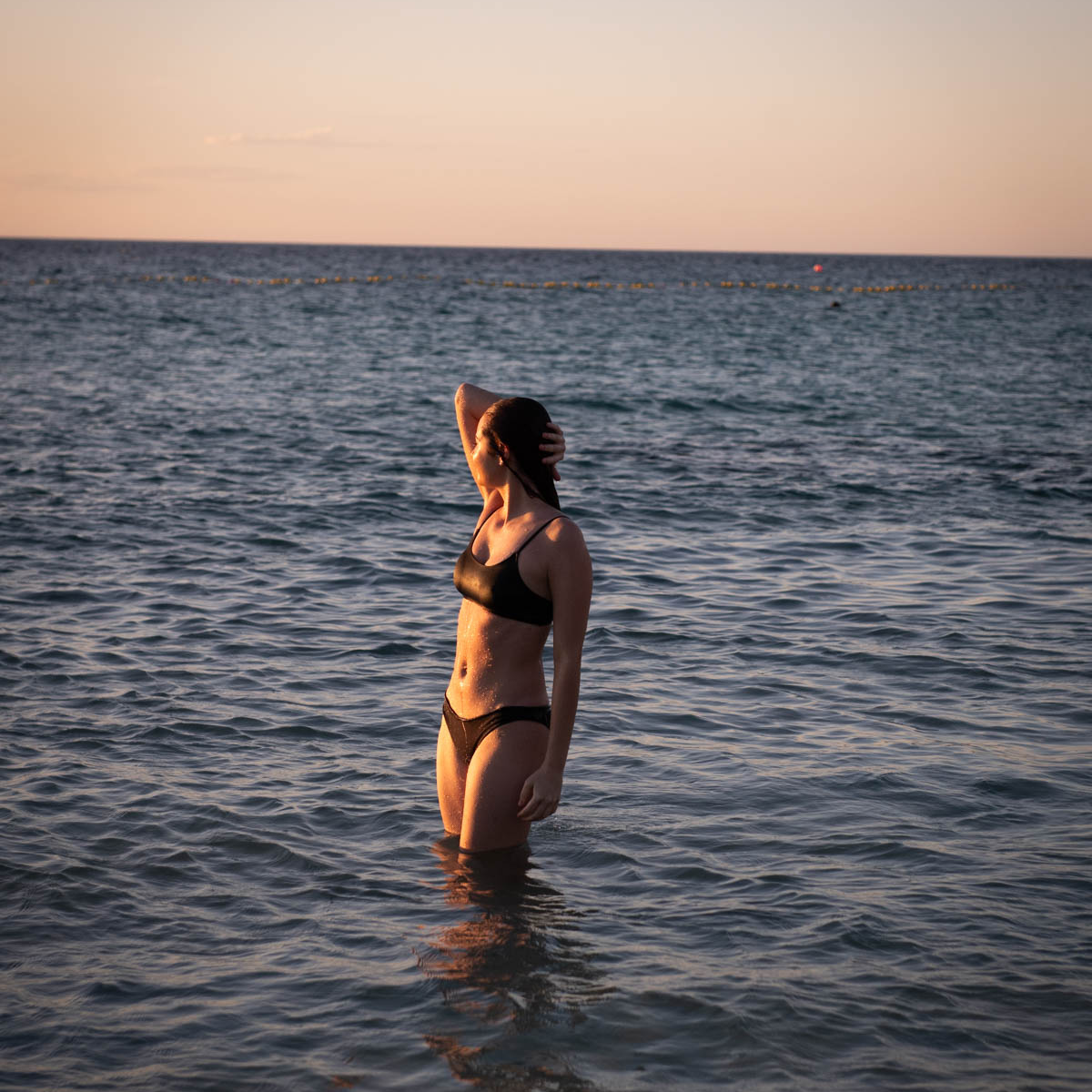 Petaluda The Georgie Clip Crop Top